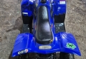 Cuatris y UTVs - Honda Dynamic 2007 11Km - En Venta