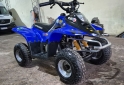 Cuatris y UTVs - Honda Dynamic 2007 11Km - En Venta