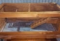 Otros - Jaula/Terrario para erizos/hamster/cobayos u otros - En Venta