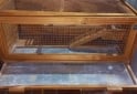 Otros - Jaula/Terrario para erizos/hamster/cobayos u otros - En Venta