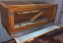Otros - Jaula/Terrario para erizos/hamster/cobayos u otros - En Venta
