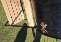 Hogar - Vendo chulengo completo,con parrilla pala,atizador y fogonero - En Venta