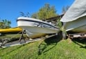 Embarcaciones - Elephant 620 Larsen Marine - En Venta