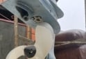 Otros (Náutica) - Motor fuera de borda Evinrude 7.5 - En Venta