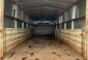 Camiones y Grúas - Vendo permuto - En Venta