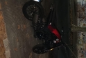 Motos - Benelli Leoncino 250 2024 Nafta 1300Km - En Venta