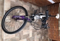 Deportes - Bicicleta Raleigh Mojave 2.0 dama. - En Venta