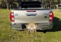Camionetas - Toyota Hilux SRV 2022 Diesel 43000Km - En Venta
