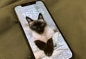 Telefon�a - Iphone 12 pro - En Venta