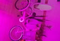 Deportes - TRICICLO REFORSADO PARA  ADULTOS - En Venta