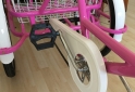 Deportes - TRICICLO REFORSADO PARA  ADULTOS - En Venta