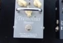 Instrumentos Musicales - Vendo todo! Guitarra + pedales + estuche rigido (leer descripción) - En Venta