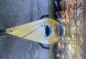 Deportes N&aacute;uticos - Kayak Baum doble - En Venta