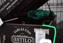 Utilitarios - Aro Trailer 2019 Nafta 600Km - En Venta