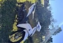 Motos - Honda Wave 2019 Nafta 18000Km - En Venta