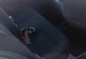 Autos - Renault MEGANE TRICUERPO AA/CC 2009 GNC 111111Km - En Venta