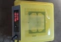 Otros - Incubadora de 48 huesos automatica - En Venta