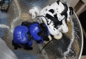 Deportes - Rollers - En Venta