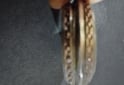 Otros - HERMOSOS RELOJES DE BOLSILLO ANTIGUOS - En Venta
