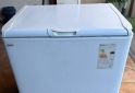 Hogar - Vendo freezer gafa - En Venta