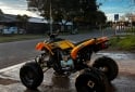 Cuatris y UTVs - Panther 200 wr 2008 5000Km - En Venta
