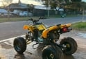 Cuatris y UTVs - Panther 200 wr 2008 5000Km - En Venta