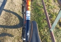 Deportes - Bicicleta rd29 SLP 200pro - En Venta