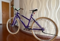 Deportes - Vendo Bici Rodas Dama usada - En Venta