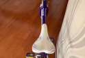 Deportes - Vendo Bici Rodas Dama usada - En Venta