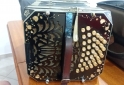 Instrumentos Musicales - Bandoneon - En Venta