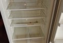 Hogar - Heladera con freezer - En Venta