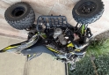 Cuatris y UTVs - Yamaha Raptor 700r 2011  12000Km - En Venta