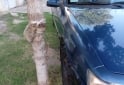 Autos - Daewoo Espero 2000 1993 Nafta 128000Km - En Venta