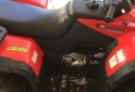 Cuatris y UTVs - Guerrero Mapuche 2014 1200Km - En Venta