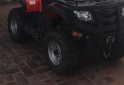 Cuatris y UTVs - Guerrero Mapuche 2014 1200Km - En Venta