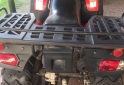 Cuatris y UTVs - Guerrero Mapuche 2014 1200Km - En Venta