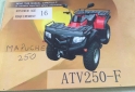 Cuatris y UTVs - Guerrero Mapuche 2014 1200Km - En Venta