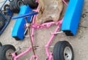 Cuatris y UTVs - Otra marca Karting a motor 2022 111111Km - En Venta