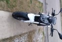 Motos - Benelli Tnt251 2024 Nafta 1600Km - En Venta