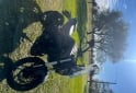 Motos - Bajaj DOMINAR 400 UG 2022 Nafta 37000Km - En Venta