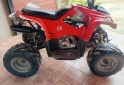 Cuatris y UTVs - Otra marca 110 2010 11111Km - En Venta