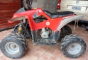 Cuatris y UTVs - Otra marca 110 2010 11111Km - En Venta