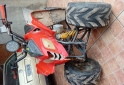 Cuatris y UTVs - Otra marca 110 2010 11111Km - En Venta