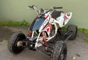 Cuatris y UTVs - Honda TRX 450cc 2009 - En Venta