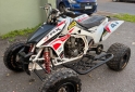 Cuatris y UTVs - Honda TRX 450cc 2009 - En Venta