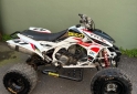 Cuatris y UTVs - Honda TRX 450cc 2009 - En Venta