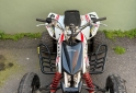 Cuatris y UTVs - Honda TRX 450cc 2009 - En Venta