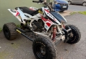 Cuatris y UTVs - Honda TRX 450cc 2009 - En Venta