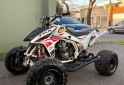 Cuatris y UTVs - Honda TRX 450cc 2009 - En Venta