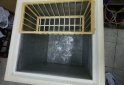 Hogar - Vendo freezer Philco de 100litros - En Venta
